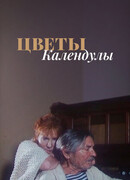 Цветы календулы