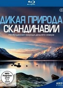 Дикая природа Скандинавии сезон 1