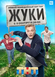 Жуки