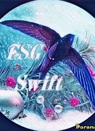 Переводчик FSG Swift 05.01.24