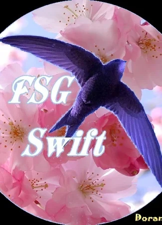 Переводчик FSG Swift 05.01.24