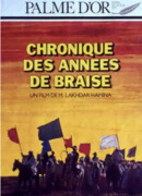 Хроника огненных лет