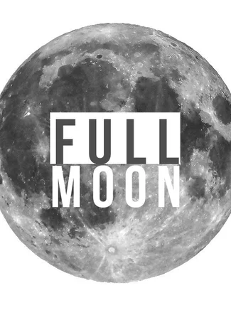 Переводчик FullMoon 16.01.24