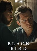 Чёрная птица (мини–сериал)