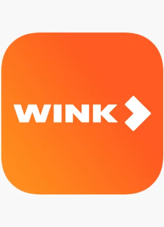 Производитель Wink 31.01.24