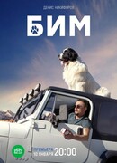 БиМ сезон 1