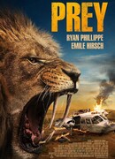 Выжить в Калахари