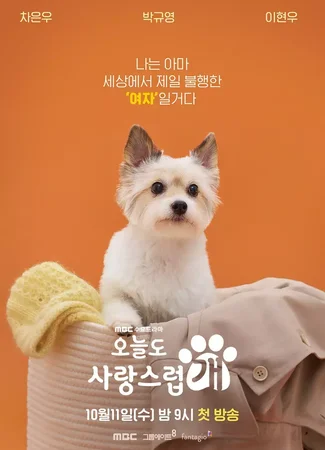 Отличный день, чтобы стать собакой