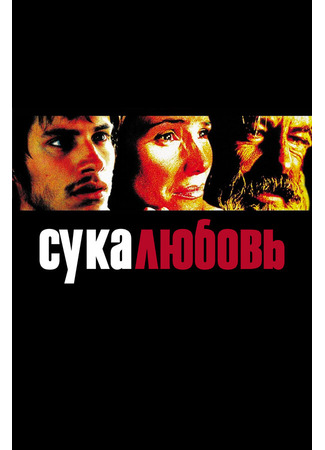 кино Сука-любовь (Amores perros) 27.02.24