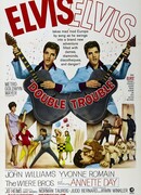 Двойные неприятности (1967)