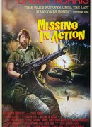 Без вести пропавшие