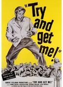 Звук ярости