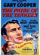 Гордость янки