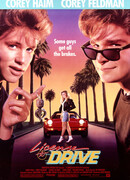 Водительские права