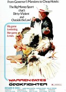 Бойцовский петух