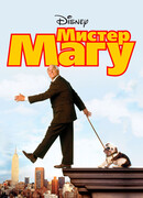 Мистер Магу