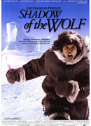Тень волка