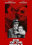 Ушко иголки