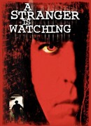 Незнакомец наблюдает