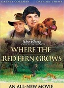 Цветок красного папоротника