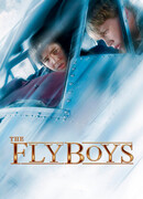 Схватка в небе