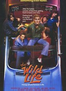 Без тормозов