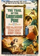 Тропинка одинокой сосны