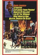 Мачо Каллахан