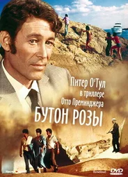Бутон розы