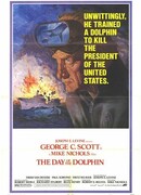 День дельфина