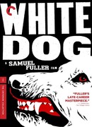 Белая собака