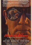 У подножия вулкана