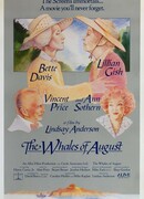 Августовские киты