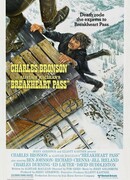 Перевал Брейкхарт