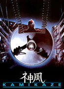 Камикадзе