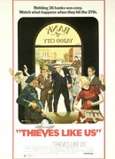 Воры как мы