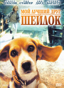 Мой лучший друг Шейлок