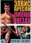 Пламенеющая звезда