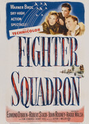 Эскадрилья истребителей