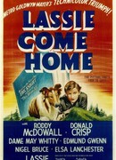 Лесси возвращается домой