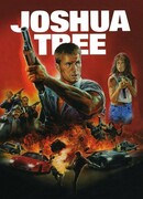 Дерево Джошуа