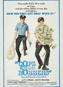 Полицейские и разбойники