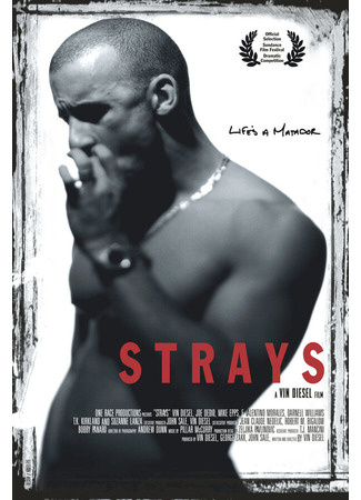 кино Бродяги (1997) (Strays) 29.02.24