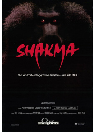 кино Шакма (Shakma) 29.02.24