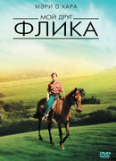 Мой друг Флика