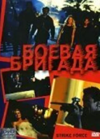 Боевая бригада