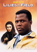 Полевые лилии