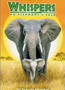 Приключения слона