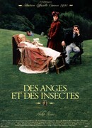 Ангелы и насекомые