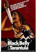 Черное брюхо тарантула